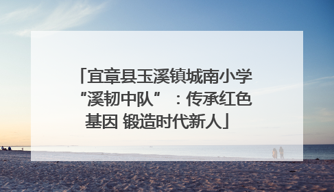 宜章县玉溪镇城南小学“溪韧中队”：传承红色基因 锻造时代新人