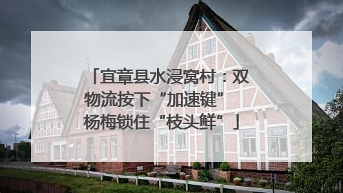 宜章县水浸窝村：双物流按下“加速键” 杨梅锁住“枝头鲜”