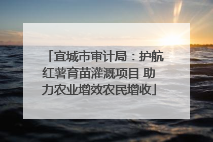 宜城市审计局：护航红薯育苗灌溉项目 助力农业增效农民增收