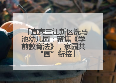 宜宾三江新区洗马池幼儿园：聚焦《学前教育法》，家园共“画”衔接