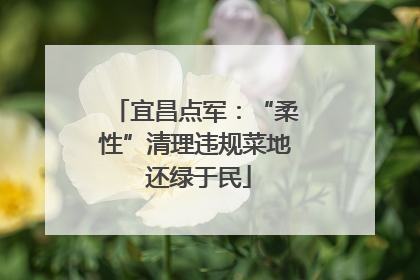 宜昌点军：“柔性”清理违规菜地 还绿于民