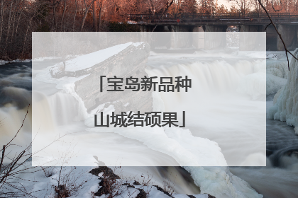 宝岛新品种 山城结硕果