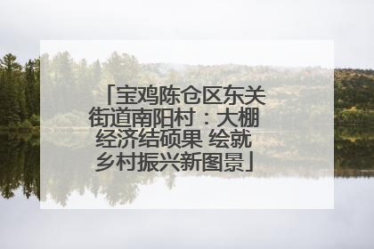 宝鸡陈仓区东关街道南阳村：大棚经济结硕果 绘就乡村振兴新图景