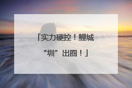 实力硬控！鲤城“圳”出圈！