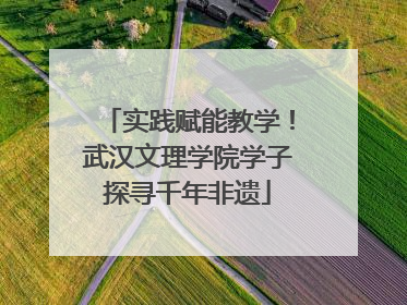 实践赋能教学！武汉文理学院学子探寻千年非遗