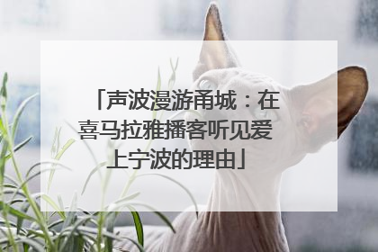声波漫游甬城：在喜马拉雅播客听见爱上宁波的理由