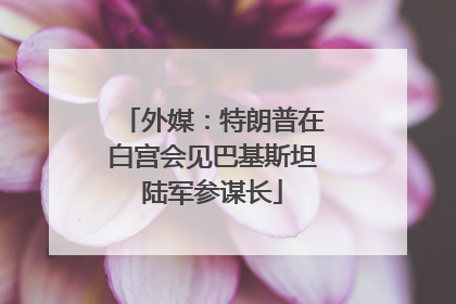 外媒：特朗普在白宫会见巴基斯坦陆军参谋长