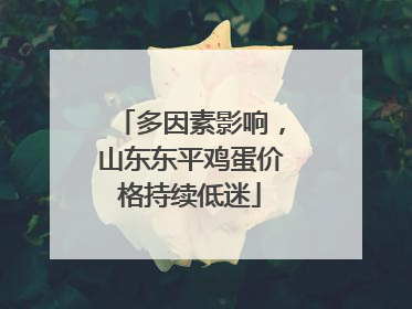 多因素影响，山东东平鸡蛋价格持续低迷