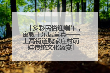 多彩民俗迎端午，寓教于乐展童真——上高街道魏家庄村萌娃传统文化盛宴