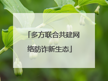 多方联合共建网络防诈新生态
