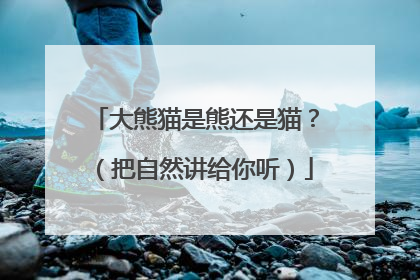 大熊猫是熊还是猫？（把自然讲给你听）