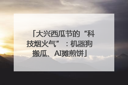 大兴西瓜节的“科技烟火气”：机器狗搬瓜、AI摊煎饼