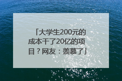 大学生200元的成本干了20亿的项目？网友：羡慕了