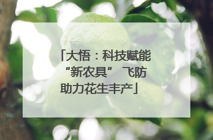 大悟：科技赋能“新农具” 飞防助力花生丰产