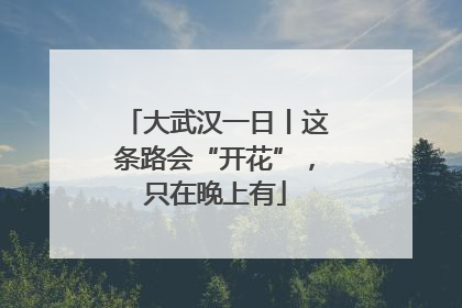 大武汉一日丨这条路会“开花”，只在晚上有