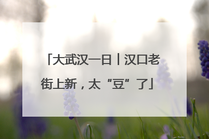 大武汉一日︱汉口老街上新，太“豆”了