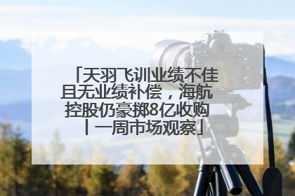天羽飞训业绩不佳且无业绩补偿，海航控股仍豪掷8亿收购丨一周市场观察