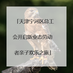 天津宁河区总工会开启新业态劳动者亲子欢乐之旅