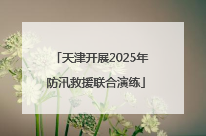 天津开展2025年防汛救援联合演练