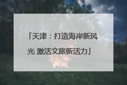 天津：打造海岸新风光 激活文旅新活力