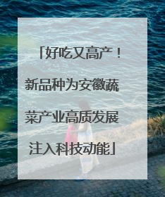 好吃又高产！新品种为安徽蔬菜产业高质发展注入科技动能