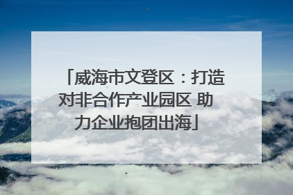 威海市文登区：打造对非合作产业园区 助力企业抱团出海