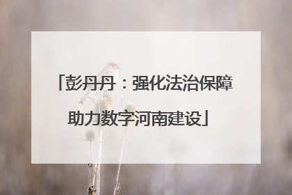 彭丹丹：强化法治保障 助力数字河南建设