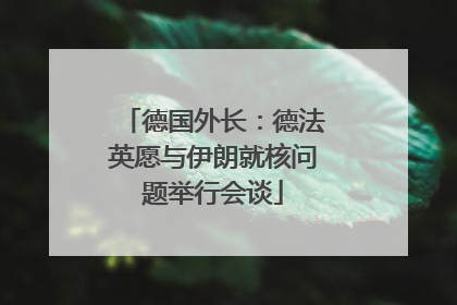 德国外长：德法英愿与伊朗就核问题举行会谈