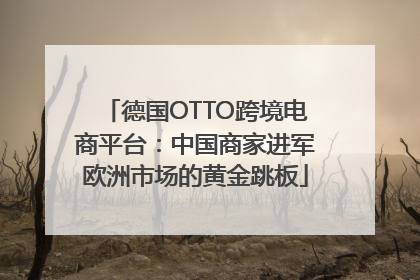 德国OTTO跨境电商平台：中国商家进军欧洲市场的黄金跳板