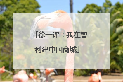 徐一评：我在智利建中国商城