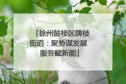 徐州鼓楼区牌楼街道：聚势谋发展 服务赋新能