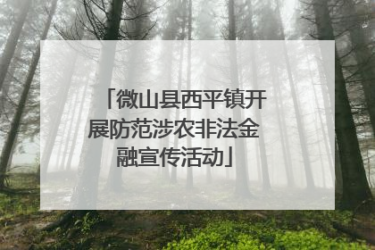 微山县西平镇开展防范涉农非法金融宣传活动