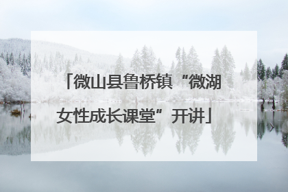 微山县鲁桥镇“微湖女性成长课堂”开讲