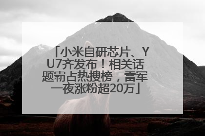 小米自研芯片、YU7齐发布！相关话题霸占热搜榜，雷军一夜涨粉超20万