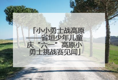 小小勇士战高原——省垣少年儿童庆“六一”高原小勇士挑战赛见闻