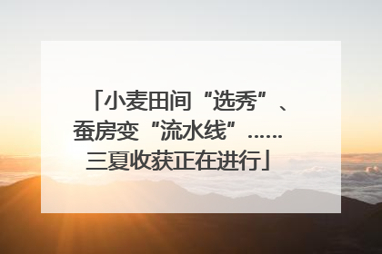 小麦田间“选秀”、蚕房变“流水线”……三夏收获正在进行