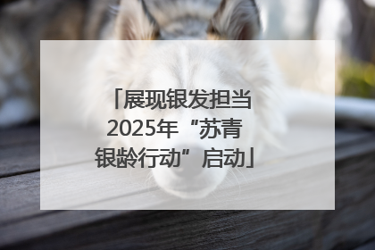 展现银发担当 2025年“苏青银龄行动”启动