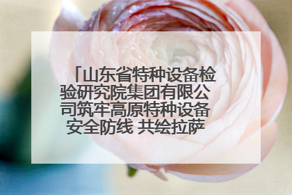 山东省特种设备检验研究院集团有限公司筑牢高原特种设备安全防线 共绘拉萨美好生活画卷