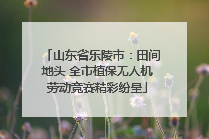 山东省乐陵市：田间地头 全市植保无人机劳动竞赛精彩纷呈