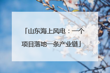 山东海上风电：一个项目落地一条产业链
