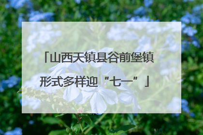 山西天镇县谷前堡镇 形式多样迎“七一”