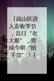 岚山区进入麦收季节，昔日“老大难”，变成今朝“抢手货”！