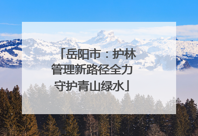 岳阳市：护林管理新路径全力守护青山绿水