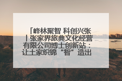 峰林聚智 科创兴张丨张家界旅典文化经营有限公司博士创新站：让土家织锦“智”造出非遗新传奇