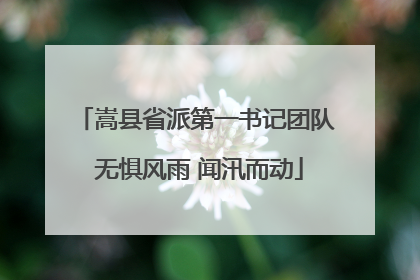 嵩县省派第一书记团队 无惧风雨 闻汛而动