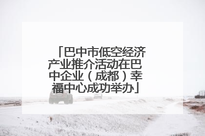 巴中市低空经济产业推介活动在巴中企业（成都）幸福中心成功举办