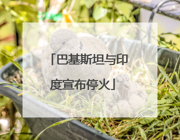 巴基斯坦与印度宣布停火