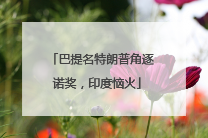 巴提名特朗普角逐诺奖，印度恼火