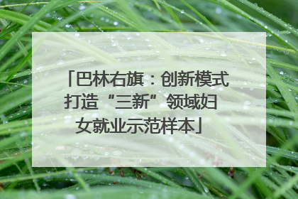 巴林右旗：创新模式 打造“三新”领域妇女就业示范样本