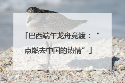 巴西端午龙舟竞渡：“点燃去中国的热情”
